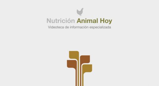 Nutrición Animal Hoy: Videoteca de información especializada